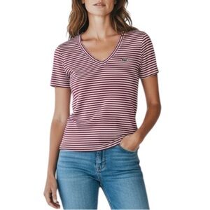 Lacoste Striped Cotton Modal V Neck Tee Size 40 Medium Raspberry White Coastal